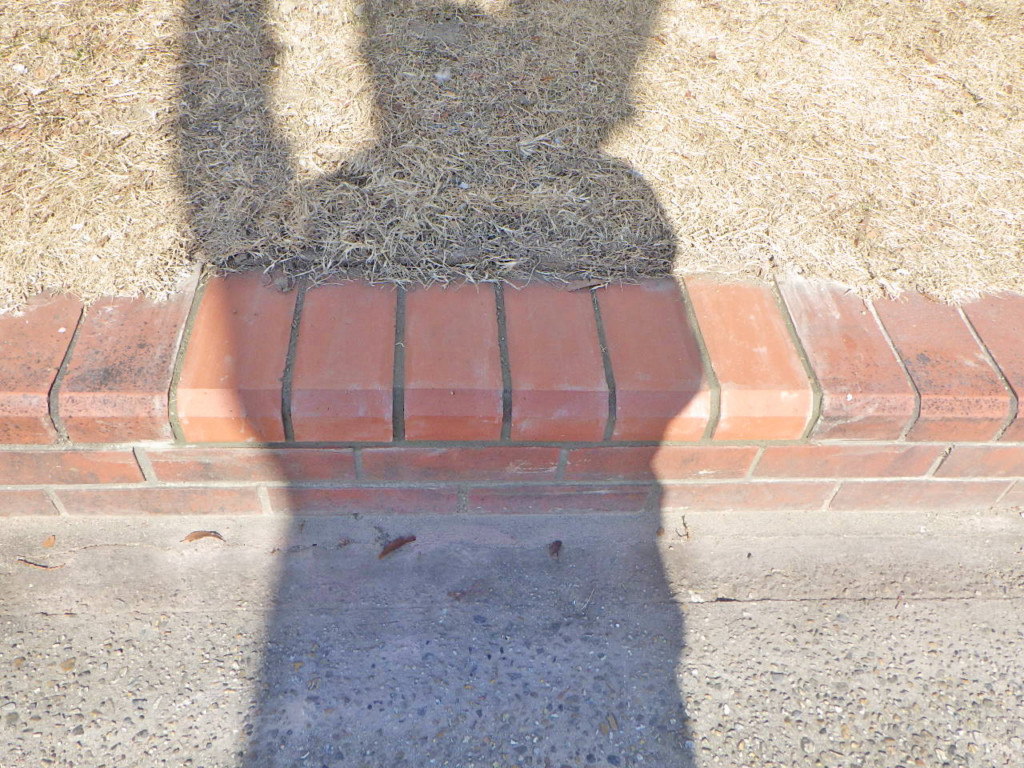 タイルレンガ交換・ブロック交換工事